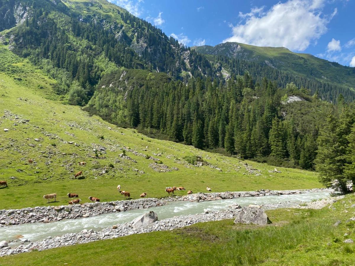 Neukirchen am GroßvenedigerPenthaus Kitzebueheler Alpen公寓 外观 照片